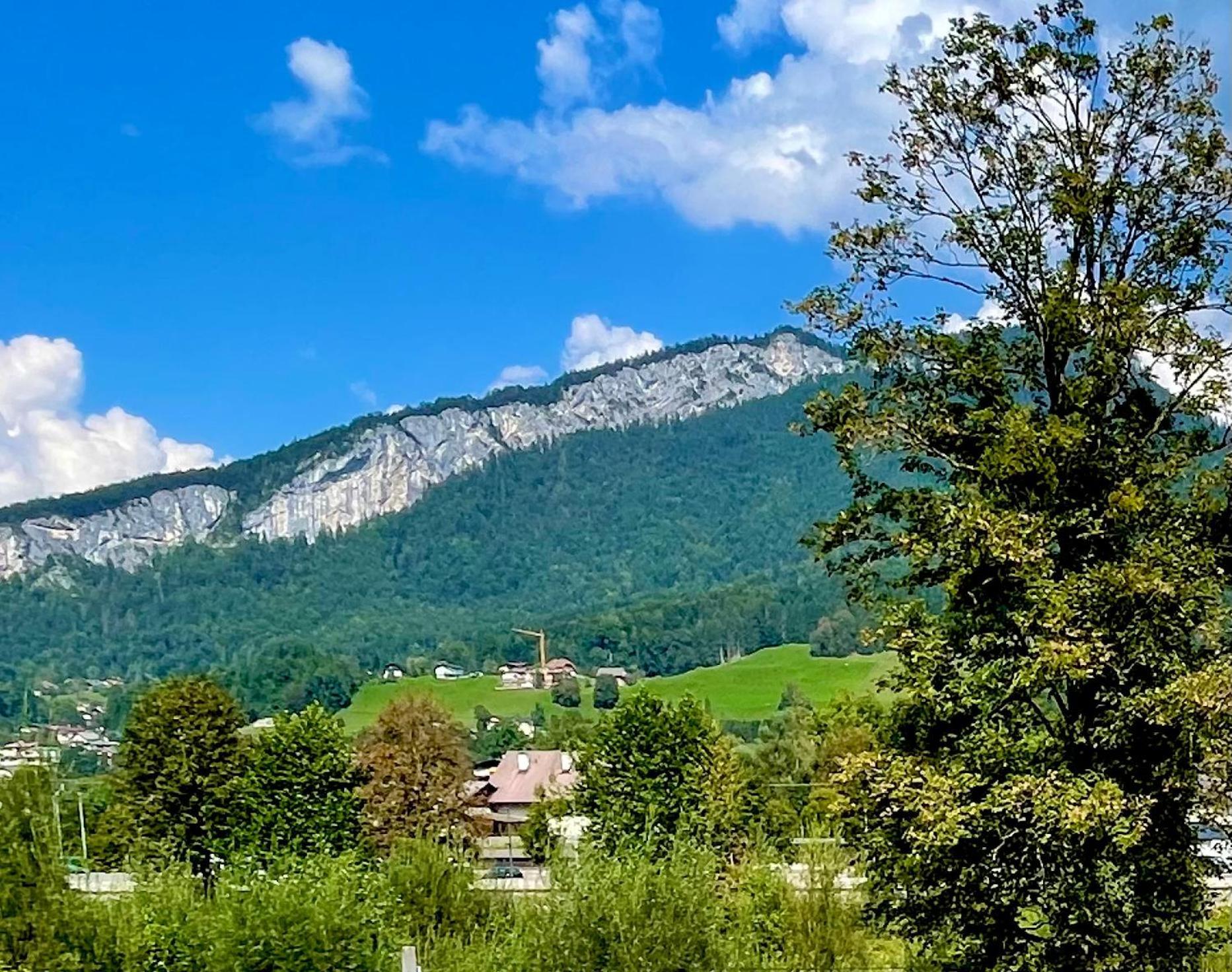 Mitzis Stubn Apartments - Bad Goisern - 24-Hour Self Check-In Экстерьер фото